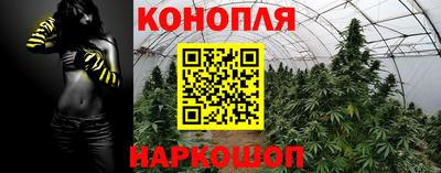дурь Будённовск