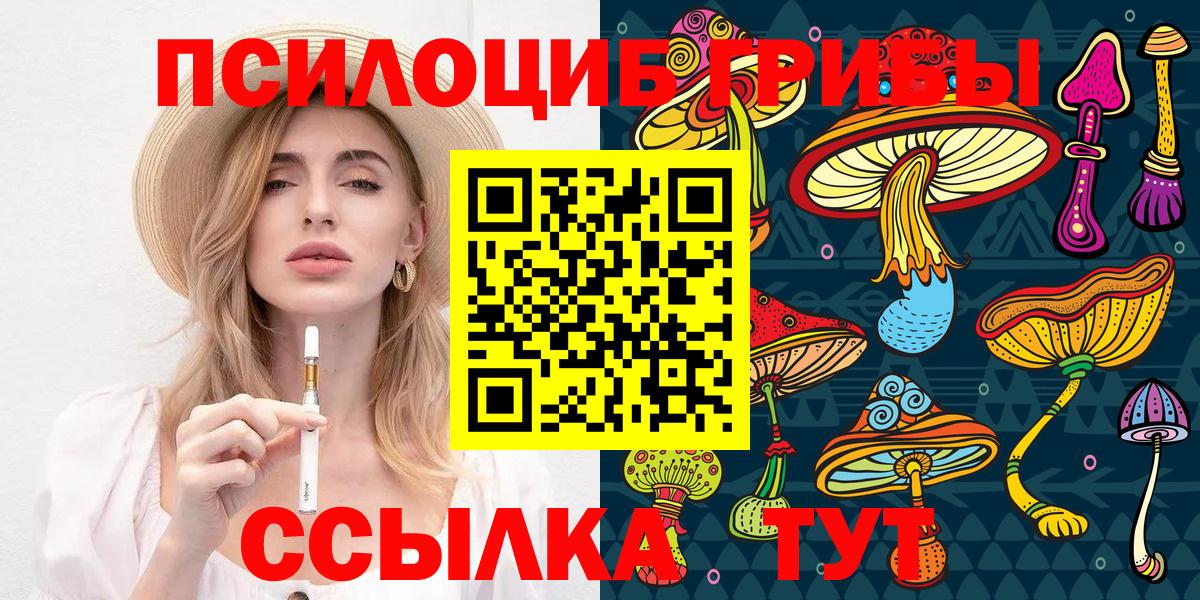 продажа наркотиков  Галлюциногенные грибы мухоморы  Вход с VPN  Псилоцибиновые грибы Cubensis  Курчалой 